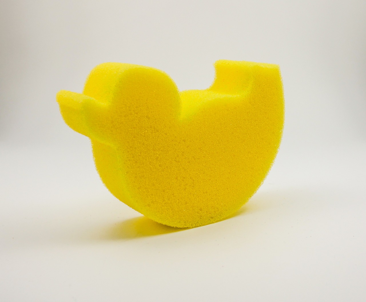 sponge-4436981_1280.jpg